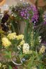 Ausstellung-Internationale-Orchideen-Welt-in-Bad-Salzuflen-2014-140302-DSC_0264.jpg